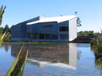 Albums/20060200-New Zealand 2006/20060209-Haast-Wanaka/1